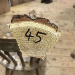 Bogenrohling Robinie 45