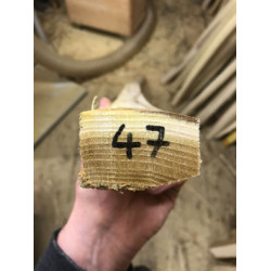 Bogenrohling Robinie 47