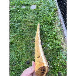 Bogenrohling Osage Orange 95