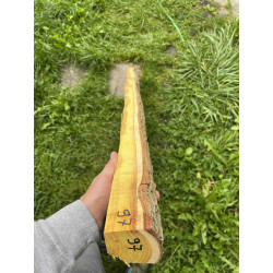 Doga Osage Orange 97