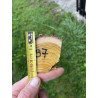 Bogenrohling Osage Orange 97