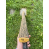 Bogenrohling Osage Orange 96