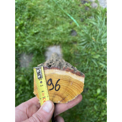 Bogenrohling Osage Orange 96