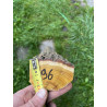 Bogenrohling Osage Orange 96