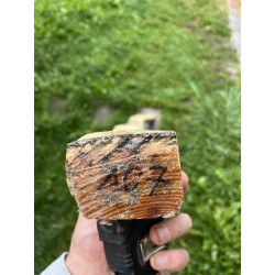 Bogenrohling Osage Orange 107