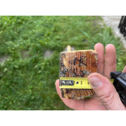 Doga Osage Orange 107