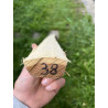 Bogenrohling Robinie 38