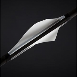 Elivanes SH2 Shark