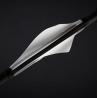 Elivanes SH2 Shark