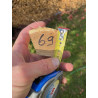 Bogenrohling Robinie 69
