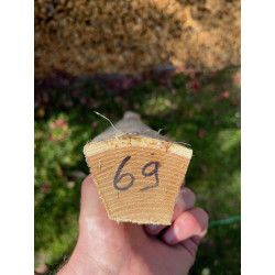 Bogenrohling Robinie 69