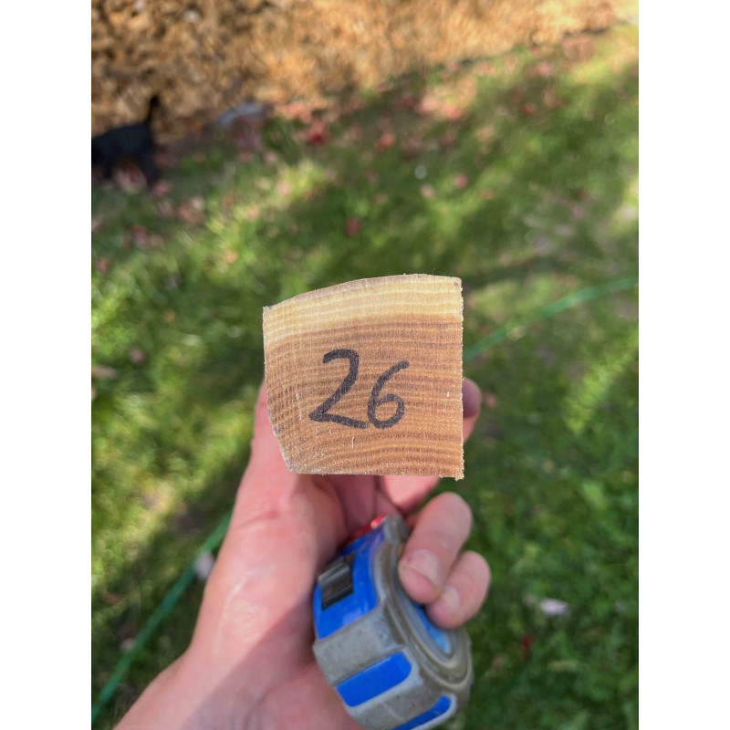 doga robinia 26 doga robinia 26