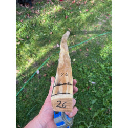 doga robinia 26
