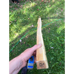 doga robinia 26