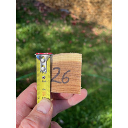doga robinia 26