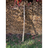 doga robinia 26
