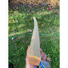 Bogenrohling Robinie 60