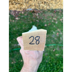 Bogenrohling Robinie 28