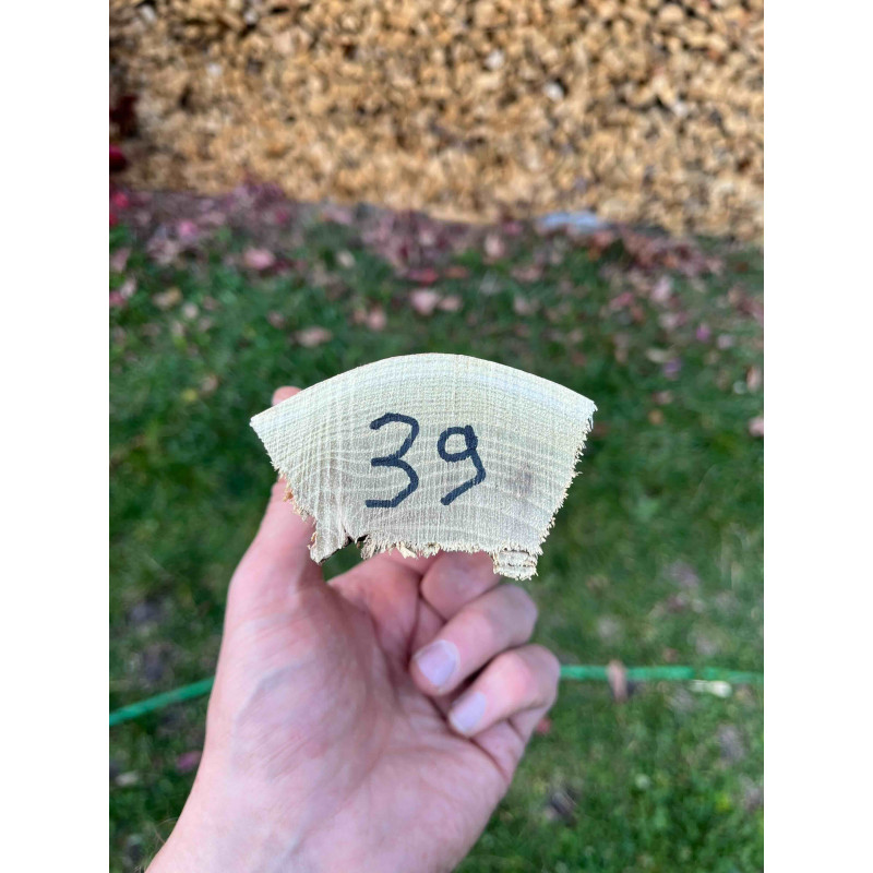 doga robinia 39 doga robinia 39