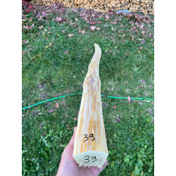 doga robinia 39