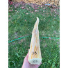 doga robinia 39