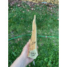 doga robinia 39