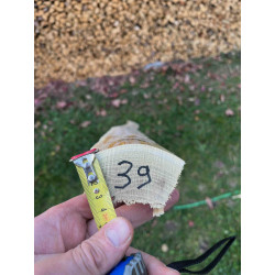 doga robinia 39