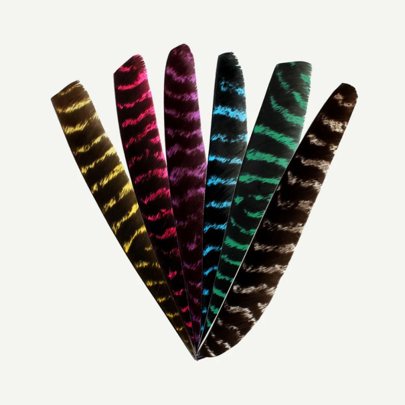 Feder RW Volle Länge naturgestreift