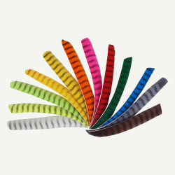 Feder RW Volle Länge barred