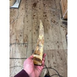 Bogenrohling Osage Orange 100