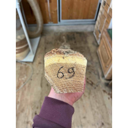 Bogenrohling Robinie 69