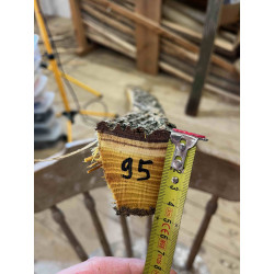 Bogenrohling Osage Orange 95