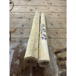 Billets doga robinia 30