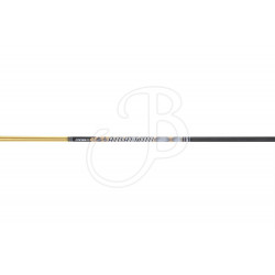 CROSS-X ASTA AMBITION GOLD ED.