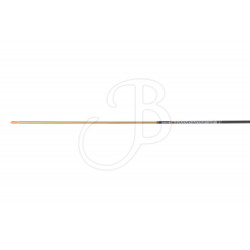 CROSS-X ASTA AMBITION GOLD ED.