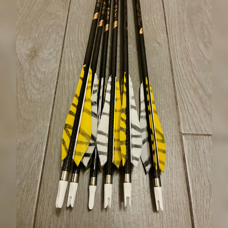Carbonpfeil Tigerente Nijora 3K Pro