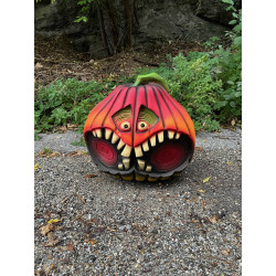 ITALESPANSO ZUCCA - usata in una gara