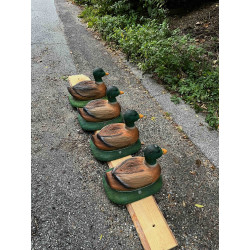 ITALESPANSO ENTE - gebraucht bei einem Turnier