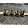 ITALESPANSO ENTE - gebraucht bei einem Turnier