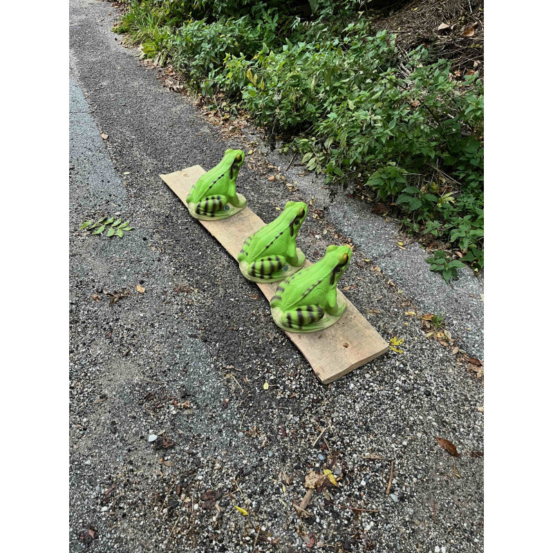 SRT grüner Frosch