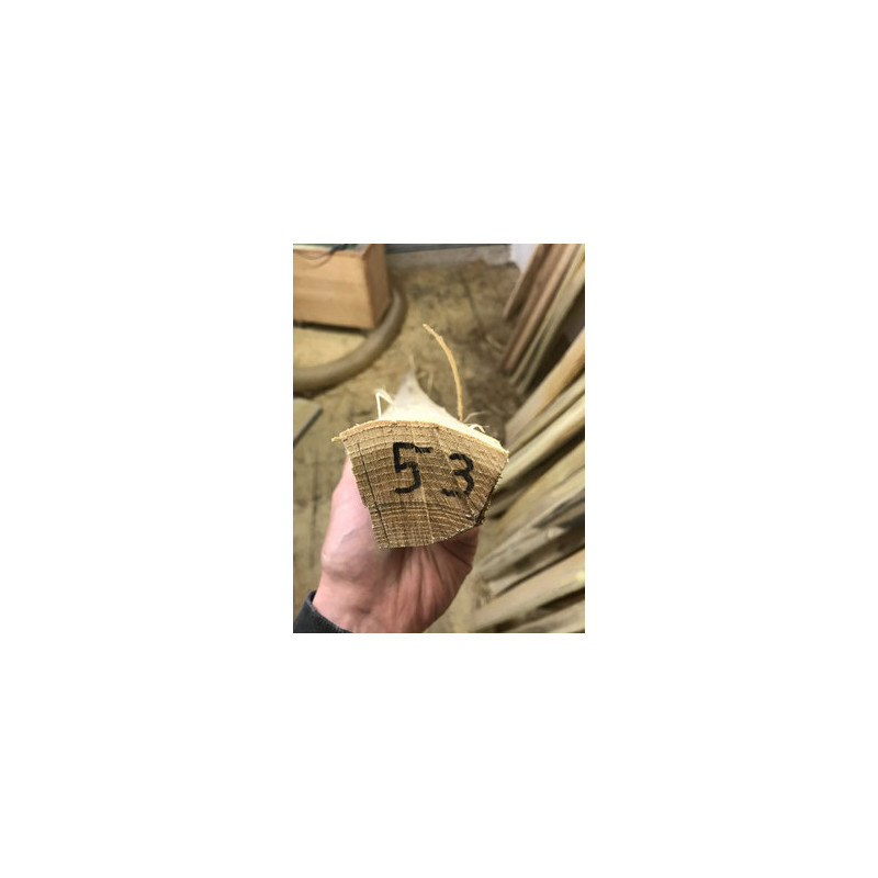 Bogenrohling Robinie 53