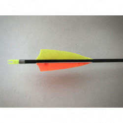 Piastra in carbonio "FindMe" X-Line Mach 2