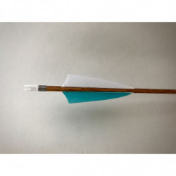 Carbonpfeil Elsa Slim