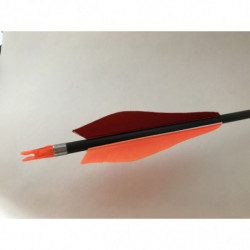 Carbonpfeil Feuerblitz Mach