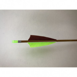 Carbonpfeil Kiwi Slim