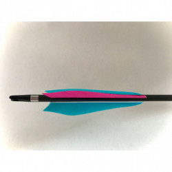 Carbon Arrow Northern Lights