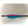 Carbon Arrow Northern Lights