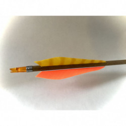 Carbonpfeil Phönix