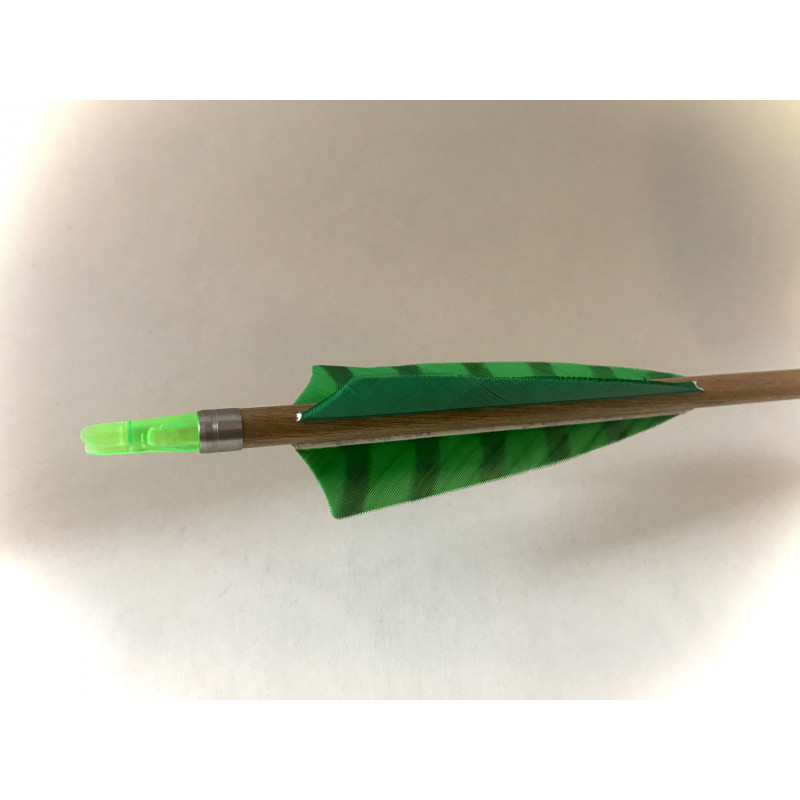 Foresta pluviale di Carbonpfeil