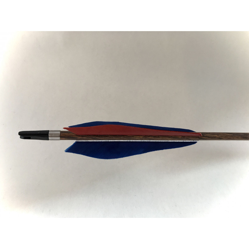 Freccia di carbonio Royal Superspeed